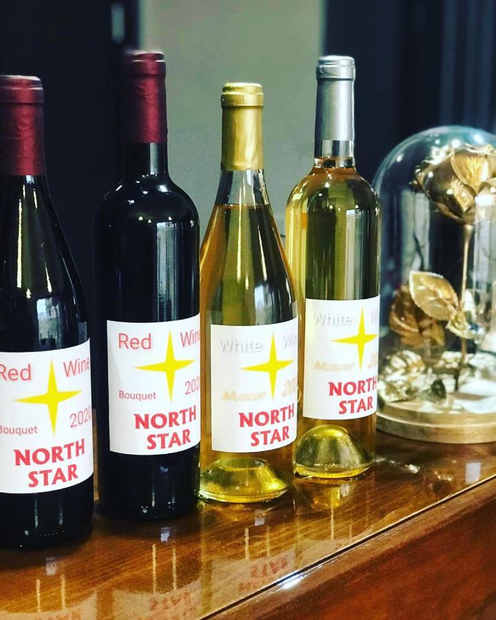 فندق بانسكوفي  North Star المظهر الخارجي الصورة
